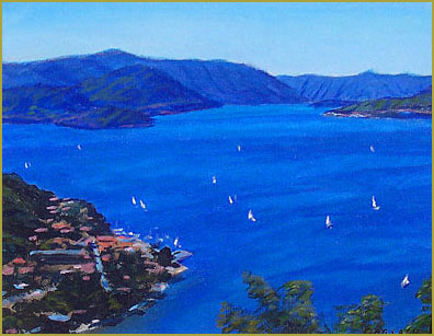 Lago di Maggiore Vista